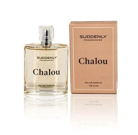 lidl chloe dupe|lidl chalou perfume dupes.